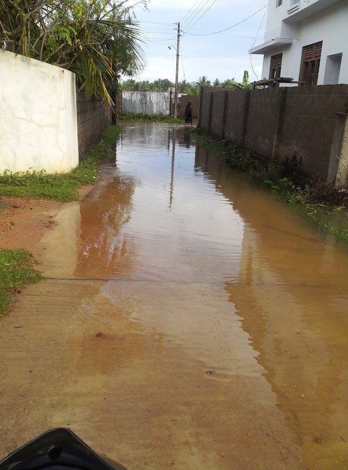 10151933_1627714054118492_7843202943416906766_n