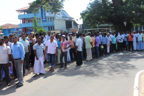 11219686_1604713513149833_6049416586154293331_n