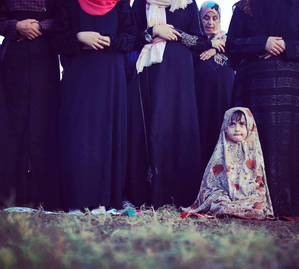 bal-jpg2_-jpg3_-jpg5_