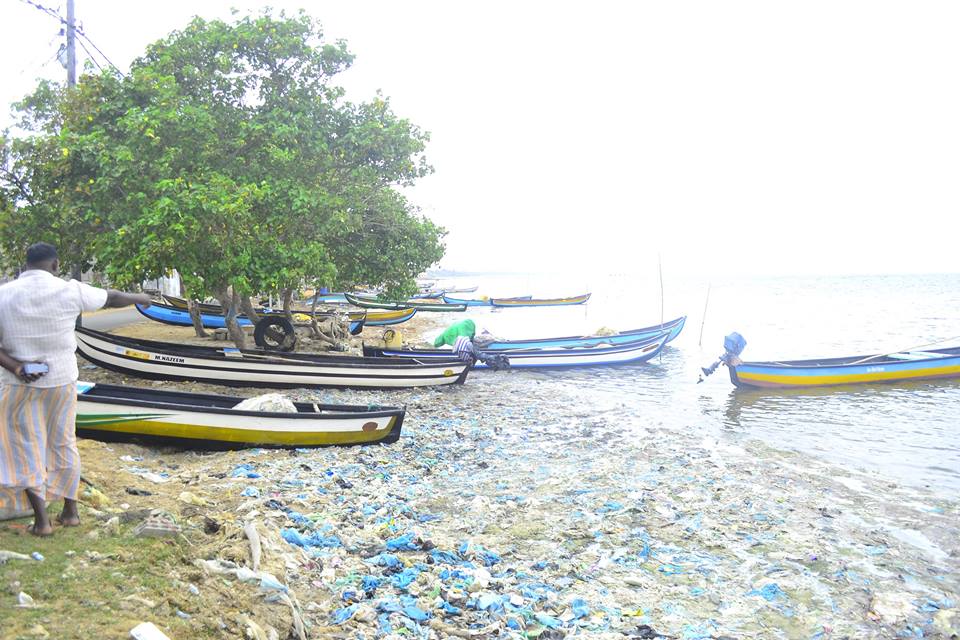 14462932_1813769302240953_3409428852686038746_n