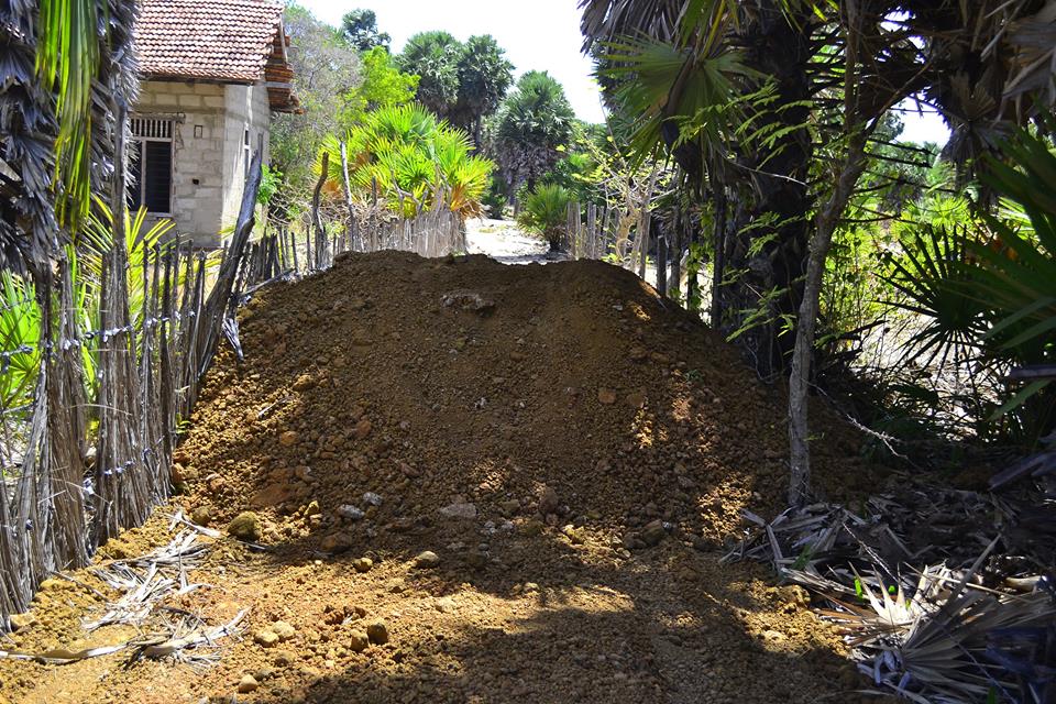 14522922_1817212571896626_770401576588775210_n