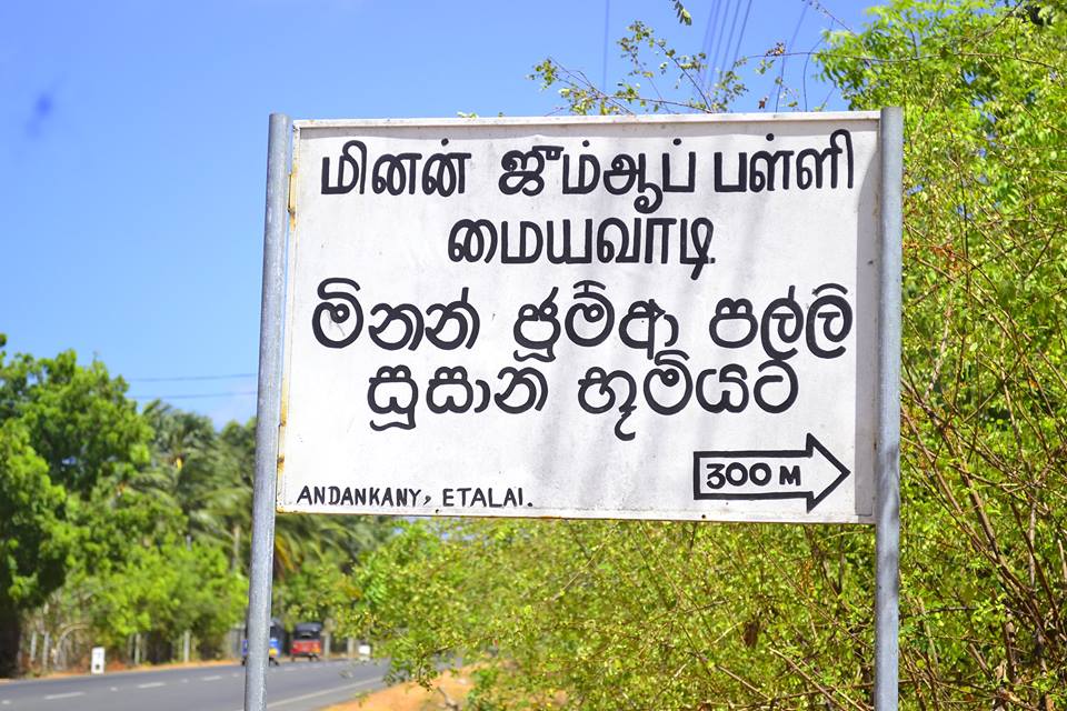 14601003_1817212898563260_7555177504324831553_n