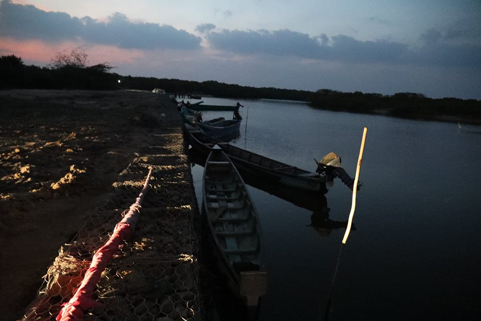 15355636_342095092831628_6174301434590578169_n