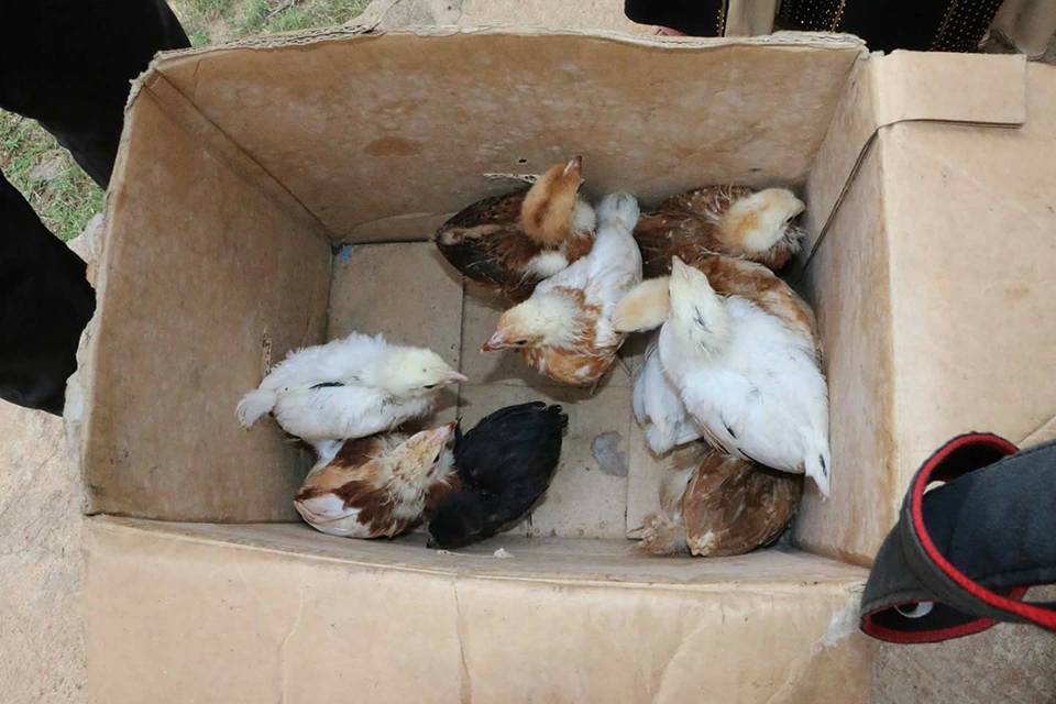 16711567_1368709136524108_3915338781124498677_n