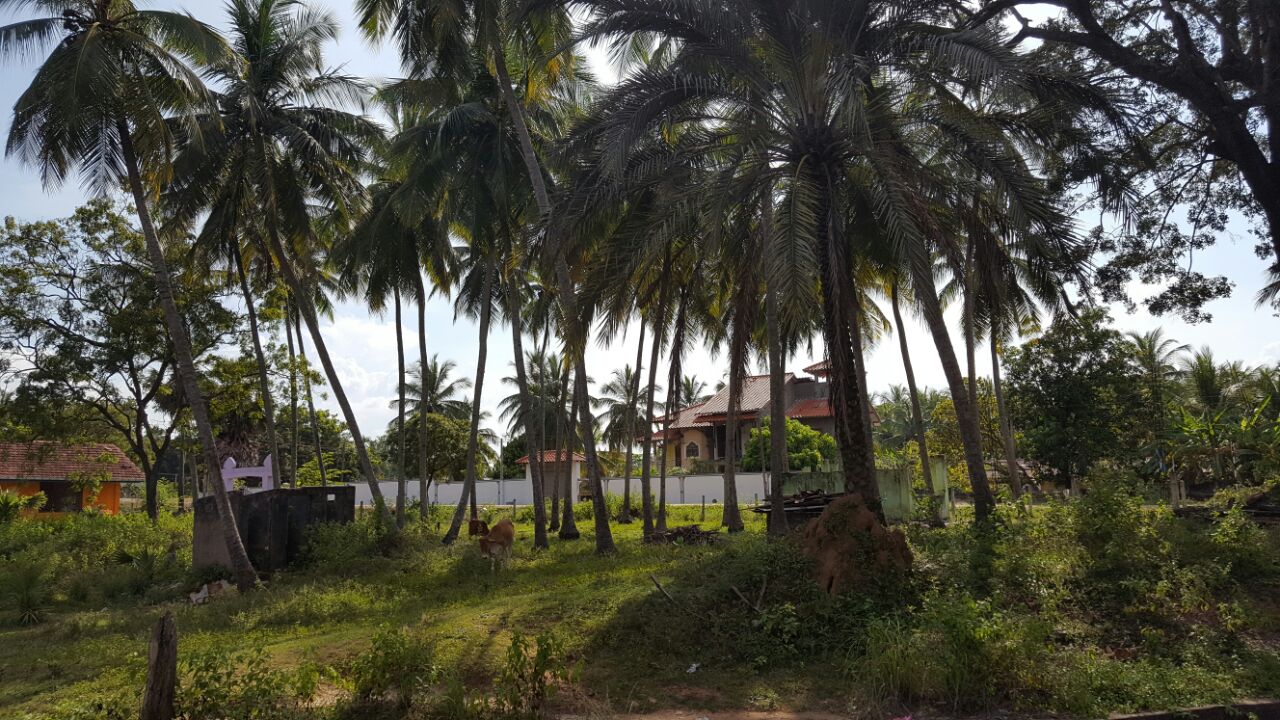 WhatsApp Image 2017-03-28 at 3.31.07 PM