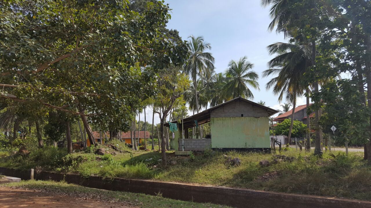 WhatsApp Image 2017-03-28 at 3.31.14 PM