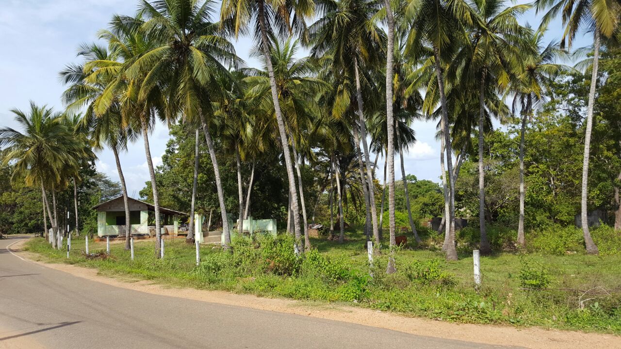 WhatsApp Image 2017-03-28 at 3.31.40 PM