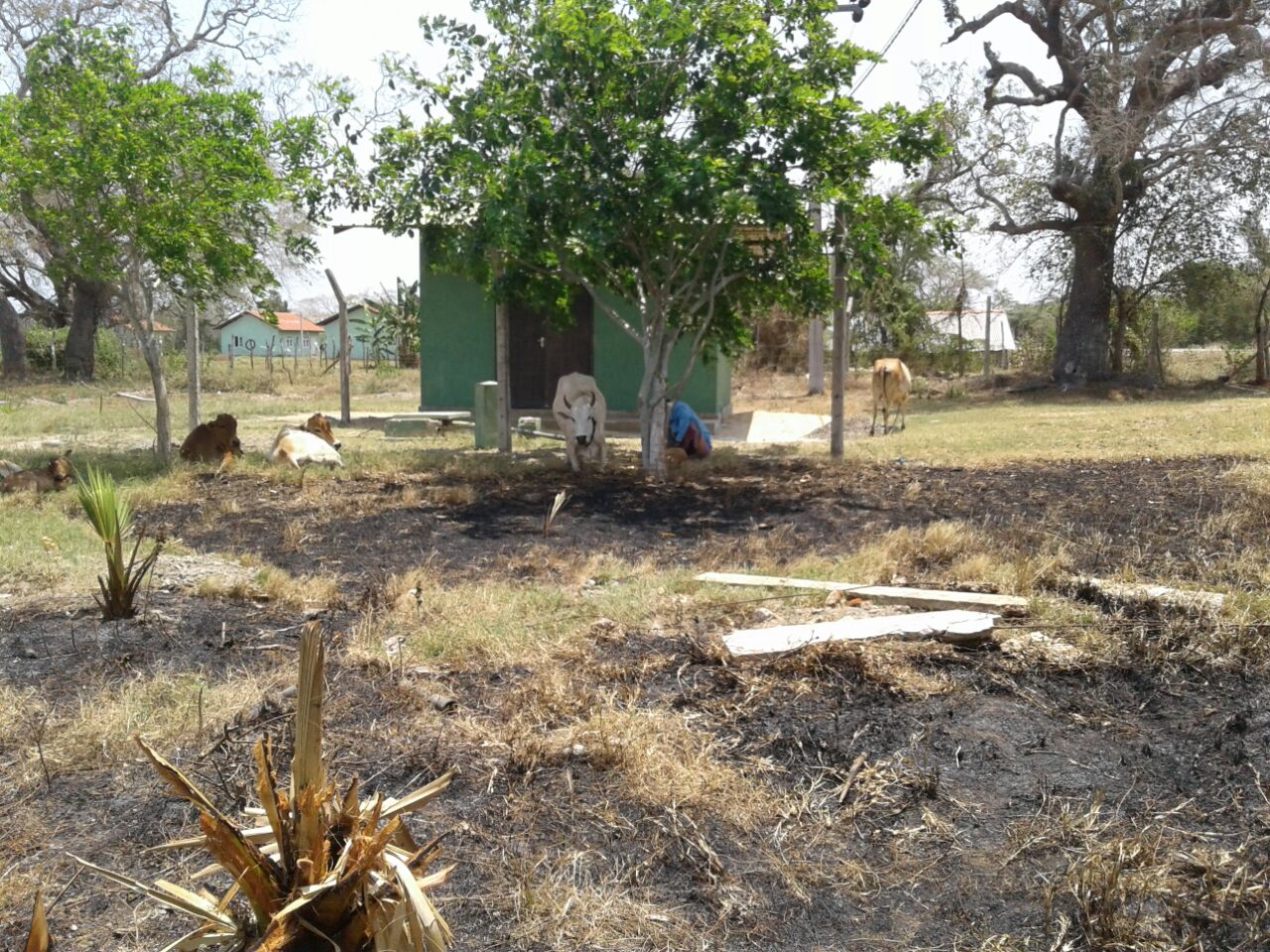 WhatsApp Image 2017-04-26 at 11.43.49 AM